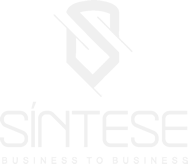 Síntese B2B Logo